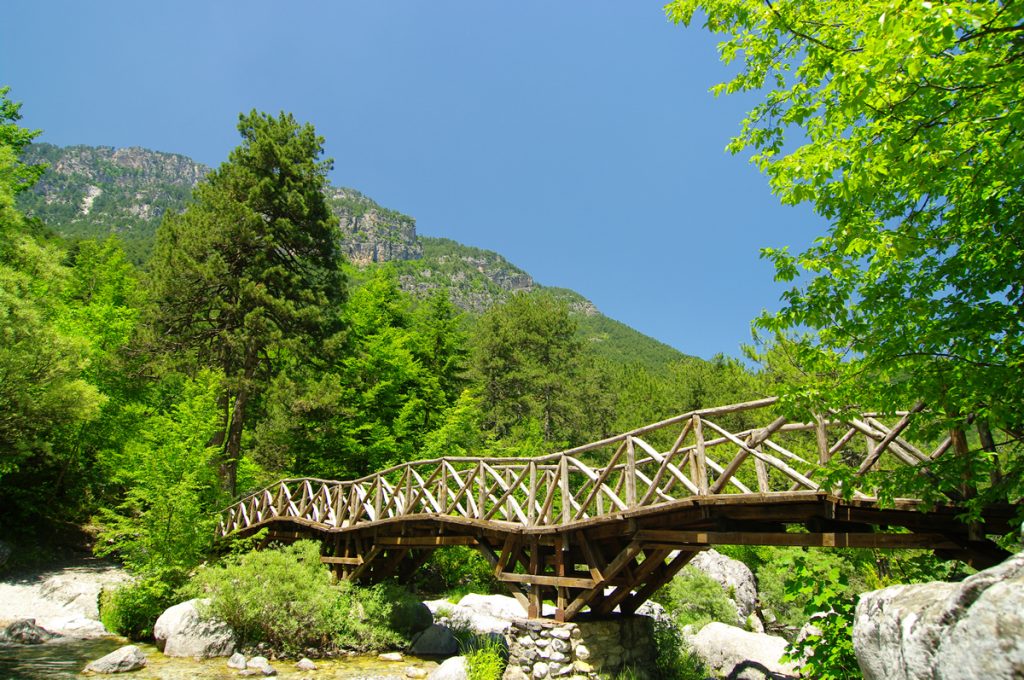 Olympus mountain in Greece in the summer