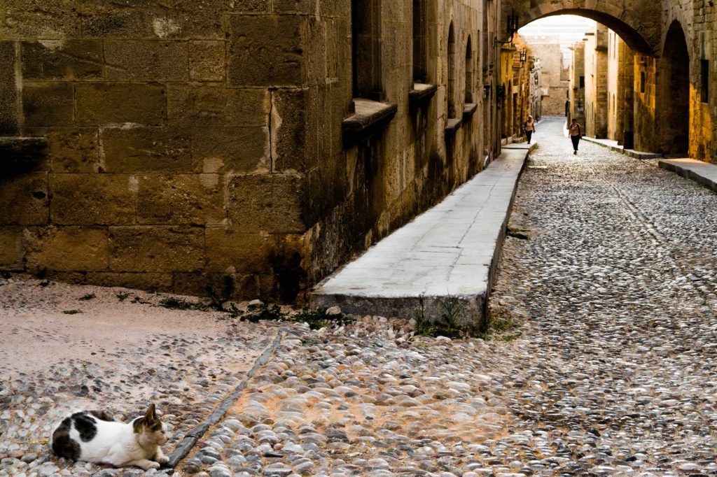 cat on the street of the knights of Rhodes